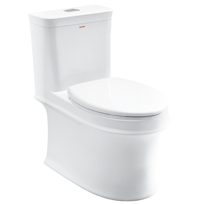 ANNWA One-piece toilet aB1363