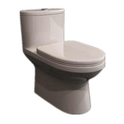 ANNWA One-piece Toilet NL101