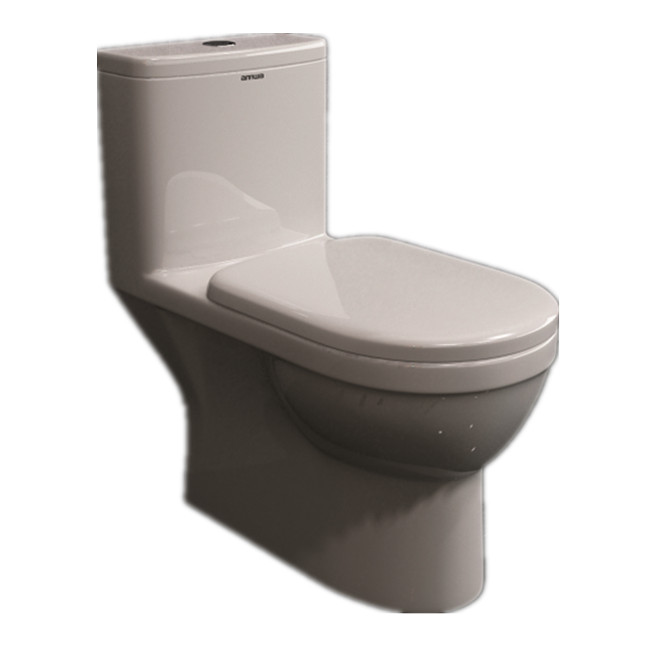 ANNWA One-piece Toilet NL102