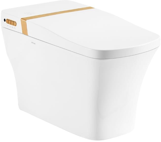 ANNWA Smart toilet S9