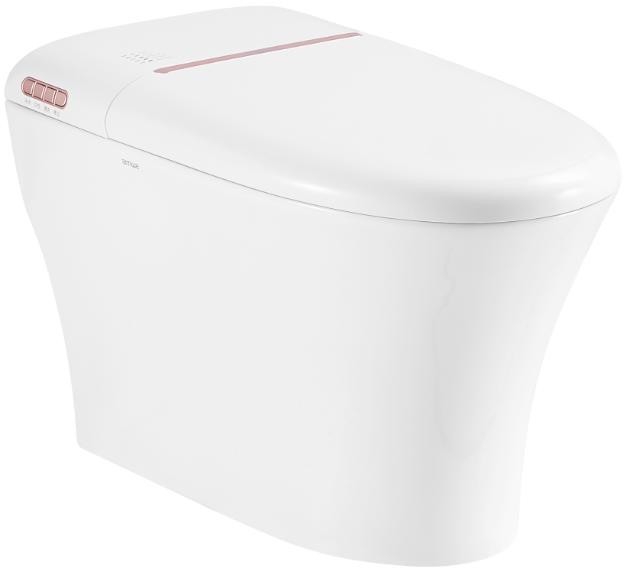 ANNWA Smart Toilet S10